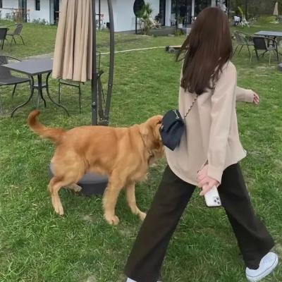 非真爱情勿论婚